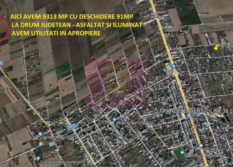 Teren de 9313 mp, în 1 Decembrie