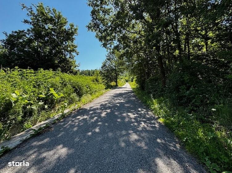 Spațiu comercial, în Dăești
