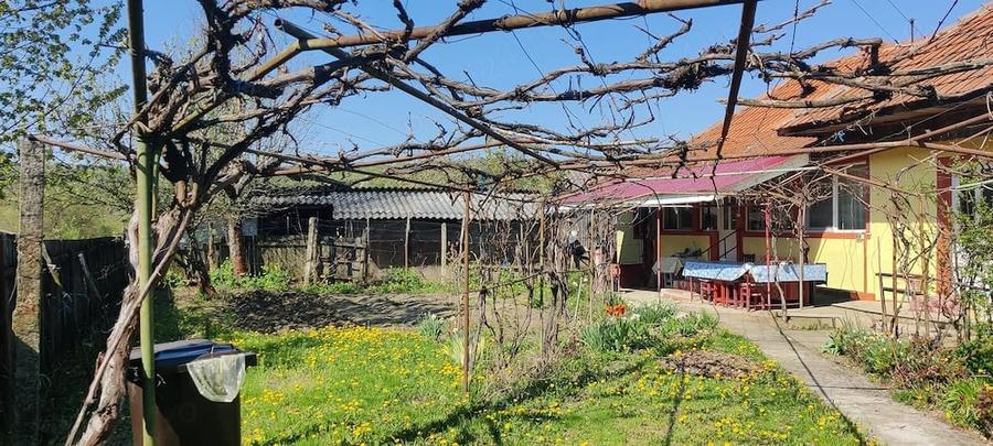 Casă cu 3 camere cu Teren 2000 Mp în Magherești