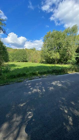 Teren de 4000 mp, în Beznea