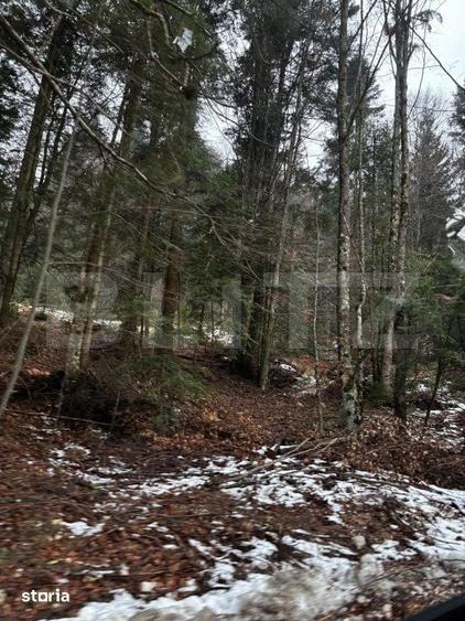 Teren de 4000 mp, în Sinaia