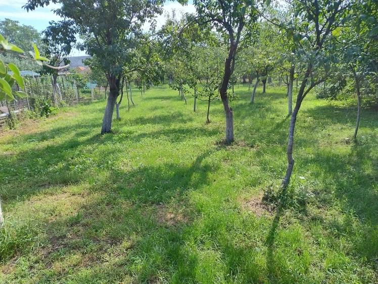Casă cu 5 camere cu Teren 1100 Mp în Petrești