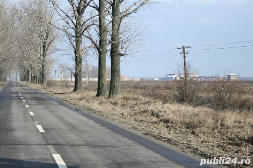Teren de 20000 mp, în Afumați