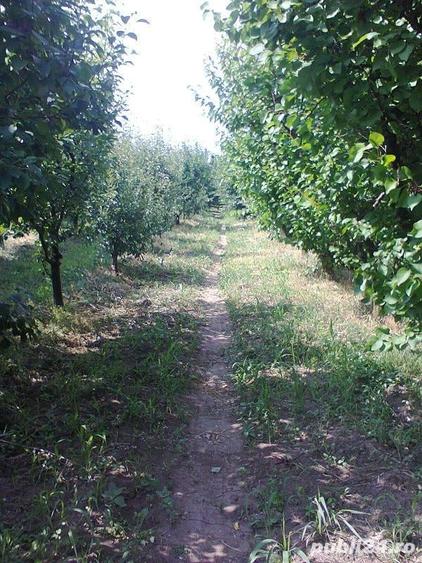 Teren de 5128 mp, în Central