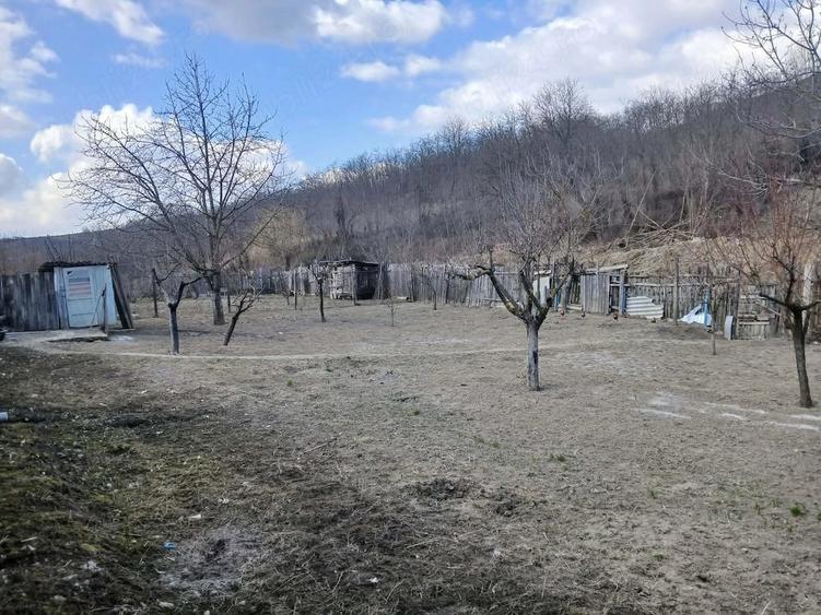 Casă cu Teren 1200 Mp în Central