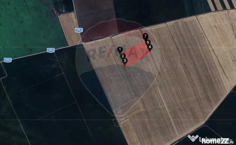 Teren extravilan 46,300mp Curtici - 2