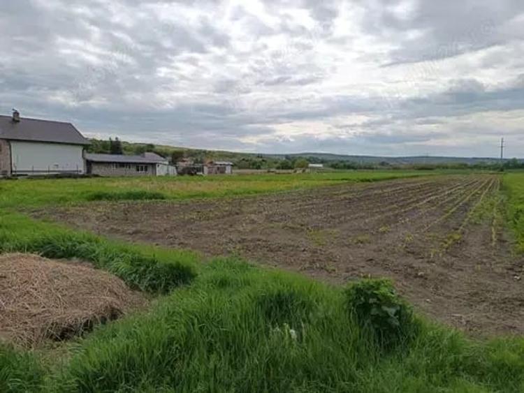 Teren de 5800 mp, în Luna