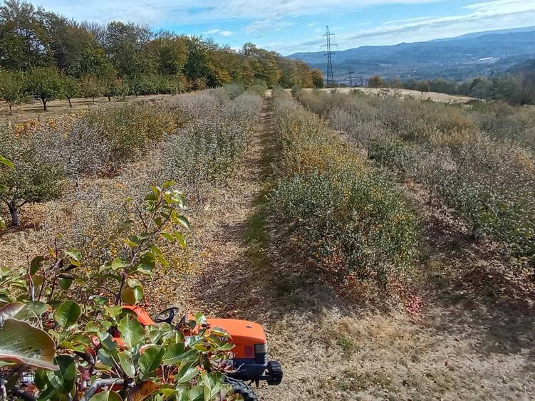 Teren de 5000 mp, în Paltenu