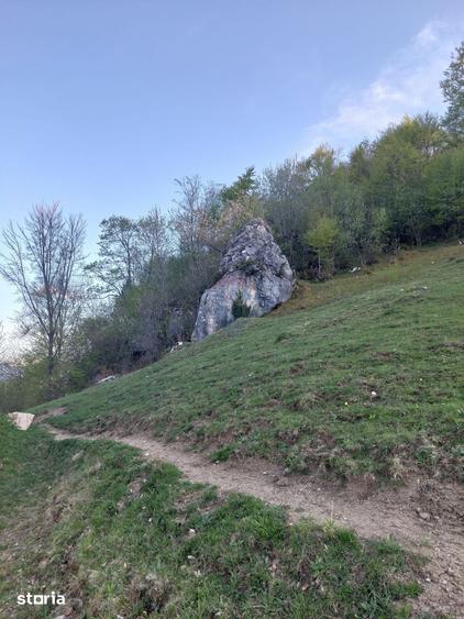 Teren de 11048 mp, în Moieciu
