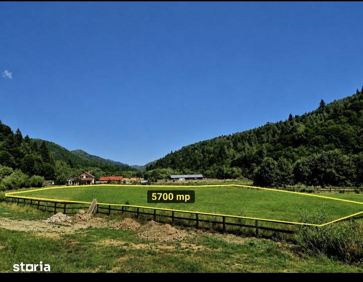 Teren de 5700 mp, în Plaiul Foii