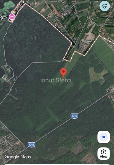 Loturi teren direct la padurea snagov