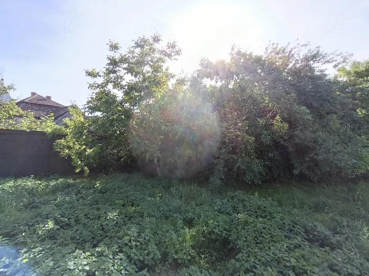 Teren de 664 mp, în Mehala