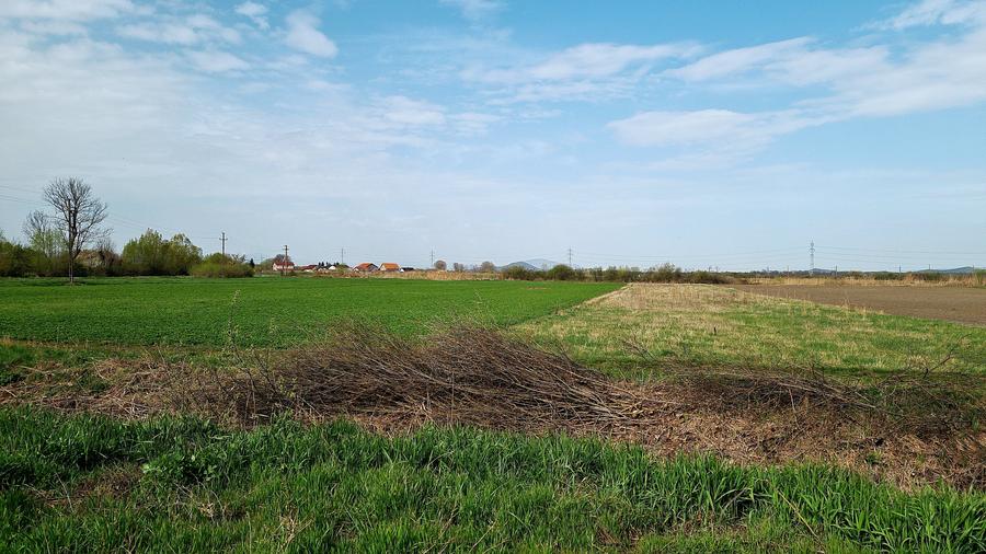 Teren Construcții intravilan de 2134 mp, în Prejmer