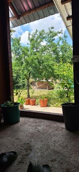 Casă individuală cu 3 camere cu Teren 3400 Mp în Icoana