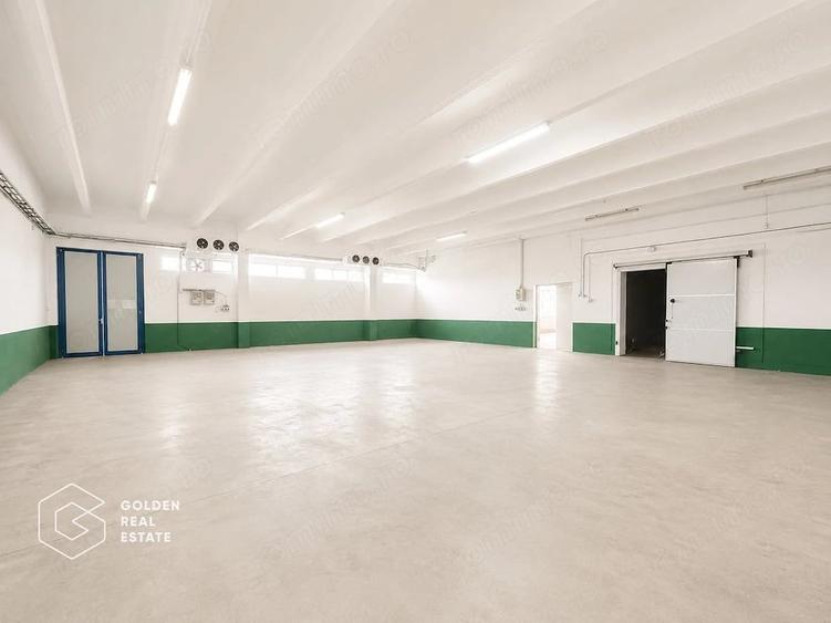 Hala Industriala Premium, Zona de Sud, Timisoara - 9
