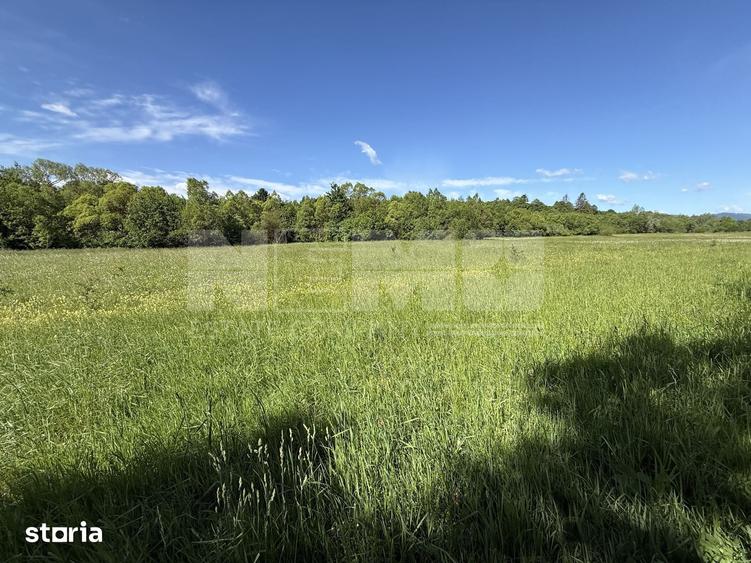 Teren de 2300 mp, în Horodnic