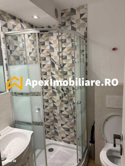 Garsoniera de inchiriat Victoriei Bucuresti ApexImobiliare.ro - 5
