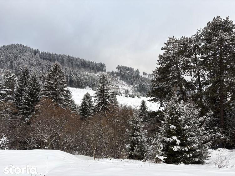 Teren de 580 mp, în Turcheș