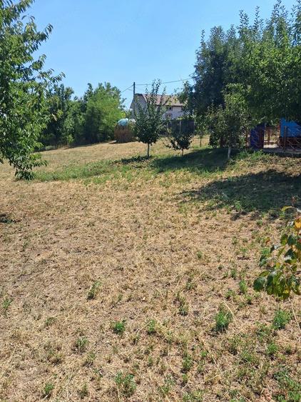 Casă cu 2 camere cu Teren 1000 Mp în Vânători
