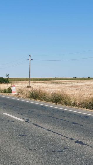 Teren agricol extravilan de 10104 mp, în Odobești