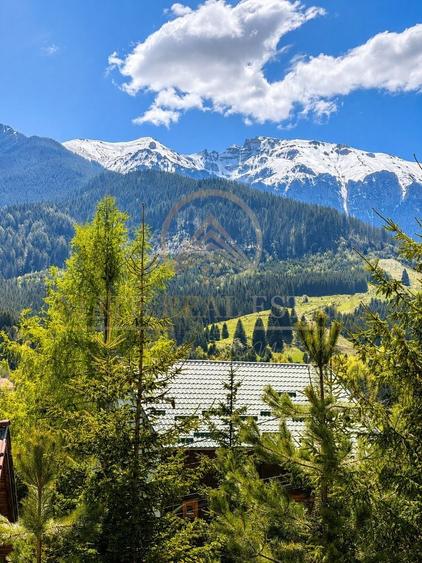 Hotel/Pensiune, de 393.17999267578 mp, în Bran