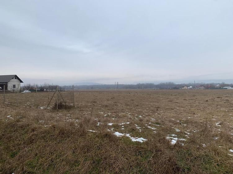 Teren Construcții intravilan de 2000 mp, în Părhăuți