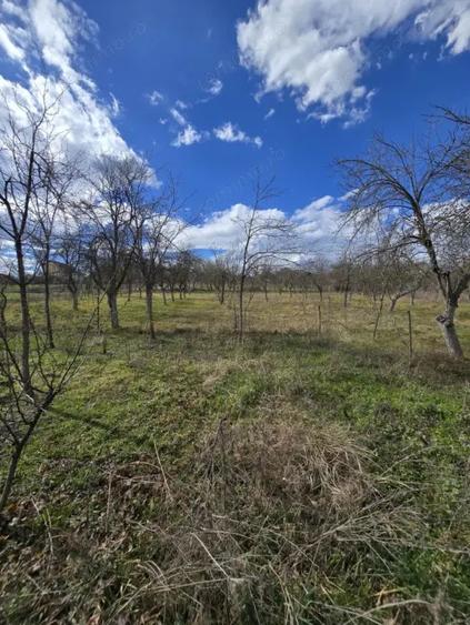 Casă cu 2 camere cu Teren 2876 Mp în Herneacova