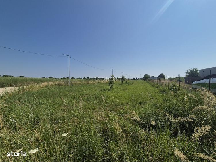 Teren intravilan in Izvorani Delta Snagov