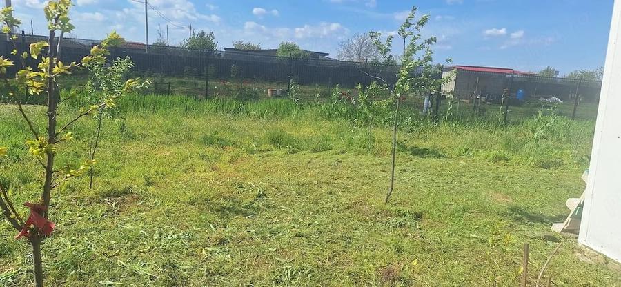Teren de 1300 mp, în Plătărești