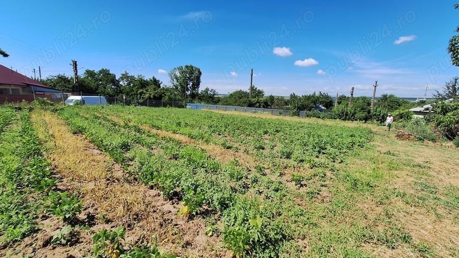Casă cu Teren 2500 Mp în Gohor