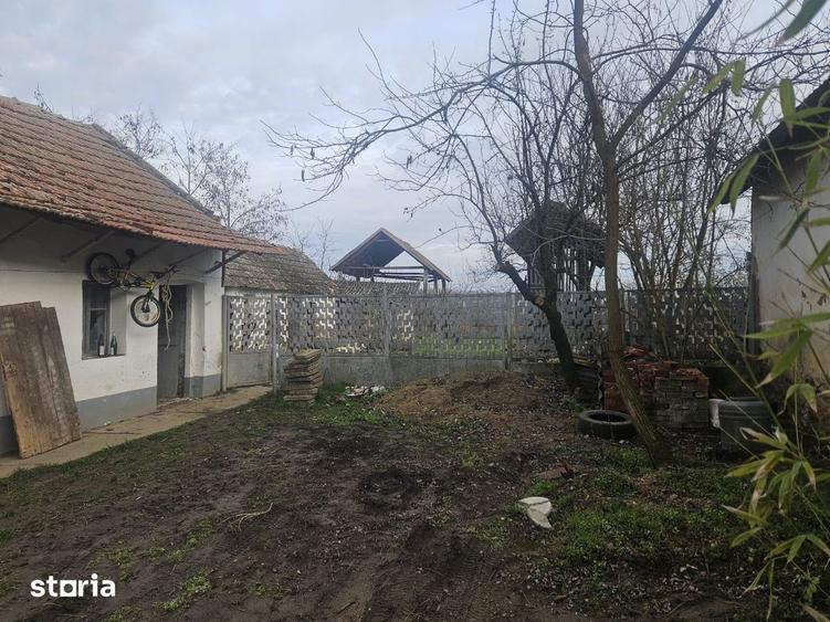Casă cu 3 camere cu Teren 3300 Mp în Borș