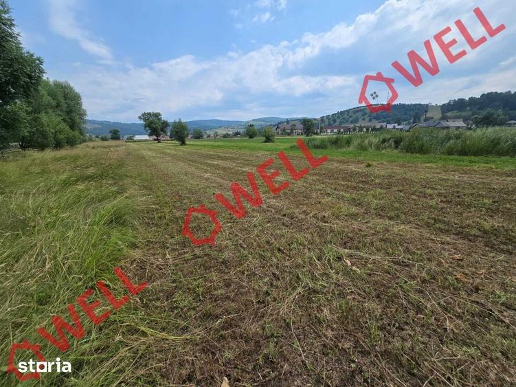 Teren de 2400 mp, în Barcani