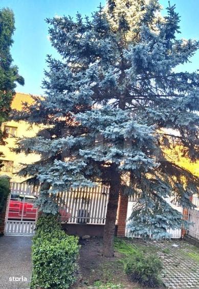 Casă cu 4 camere cu Teren 706 Mp în Soarelui