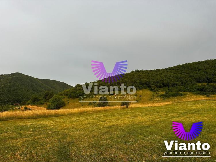 Teren agricol extravilan de 3408 mp, în Gura Râului