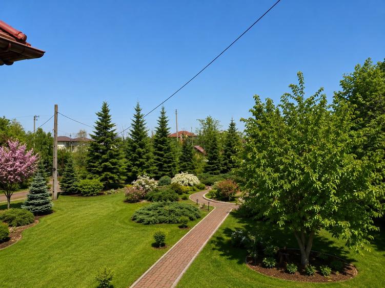 Casă individuală cu 10 camere cu Piscina în Domnești