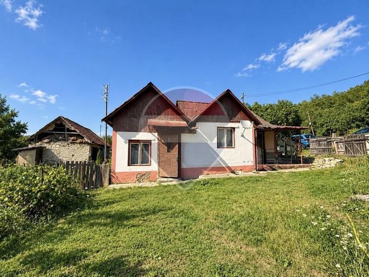 Teren Construcții intravilan de 1454 mp, în Bădești