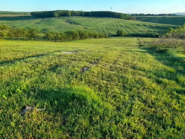 Teren de 9400 mp, în Remetea Chioarului