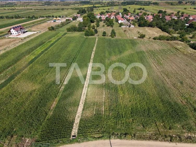 Teren de 3150 mp, în Vad