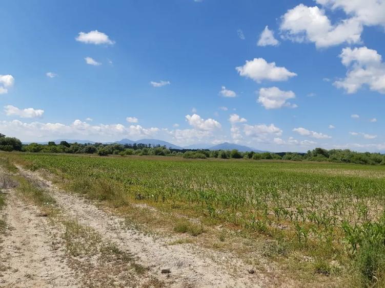 Teren agricol Podu Oltului la limita UAT Harman si UAT Prejmer 20300mp - 7