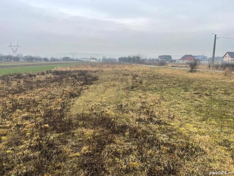 Teren de 4300 mp, în Cuzdrioara