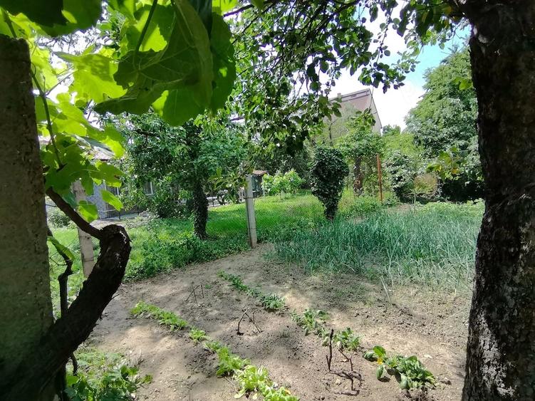 Teren de 821 mp, în Spitalul Județean