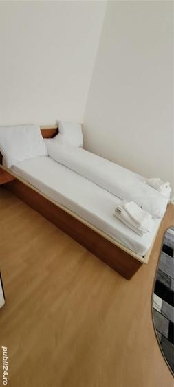 Apartament 2 camere Parter Baile Herculane - 1