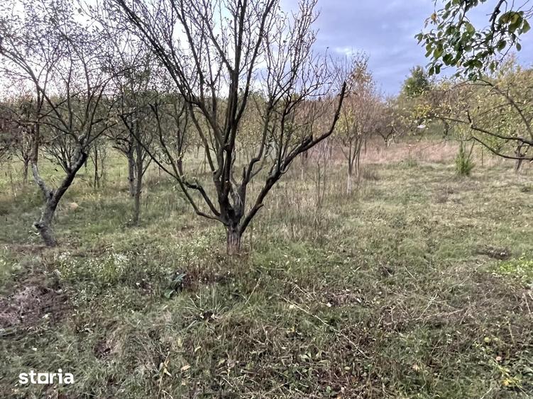 Teren de 833 mp, în Apahida