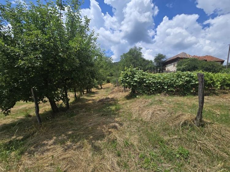 Casă cu 4 camere în Urluiești