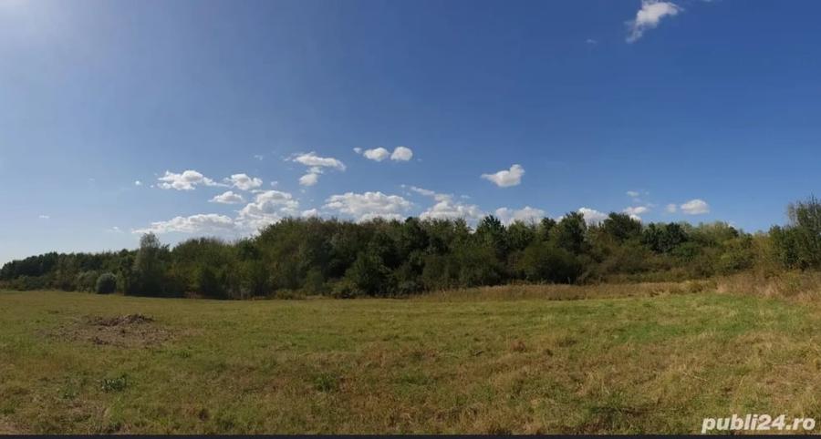 Teren de 60000 mp, în Plopu