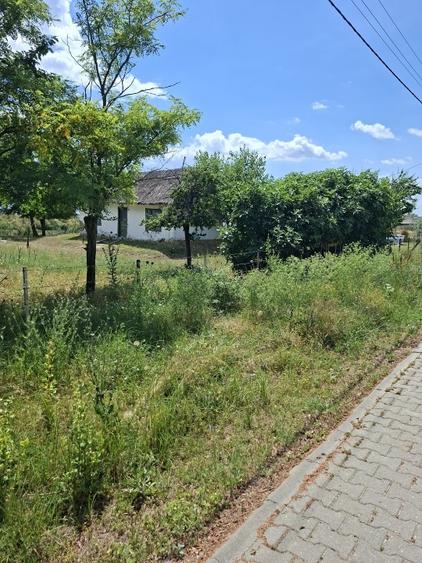 Teren Construcții intravilan de 2000 mp, în Crișan