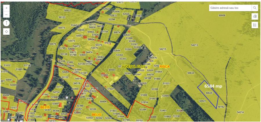Teren agricol extravilan de 3000 mp, în Beliș