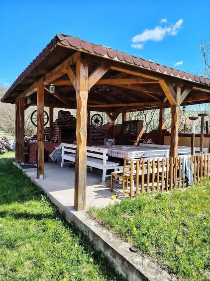 Casă cu Teren 3500 Mp în Pestișu Mic