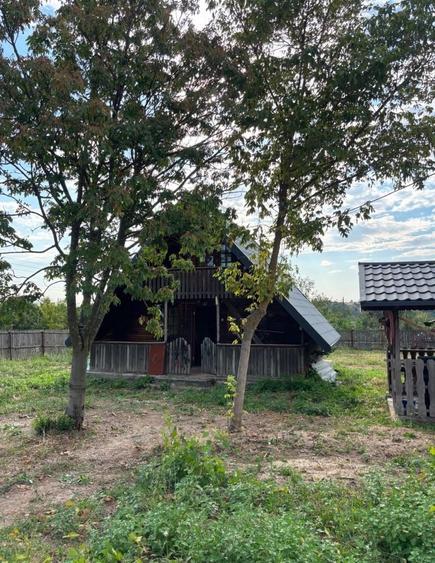 Casa individuala + cabana cu teren generos de vanzare - 7