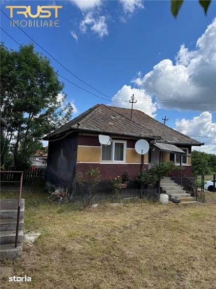 Casă cu 4 camere cu Teren 3135 Mp în Dângău Mare